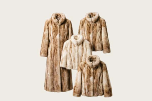 广阳区回收皮草衣服